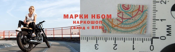 стаф Беломорск